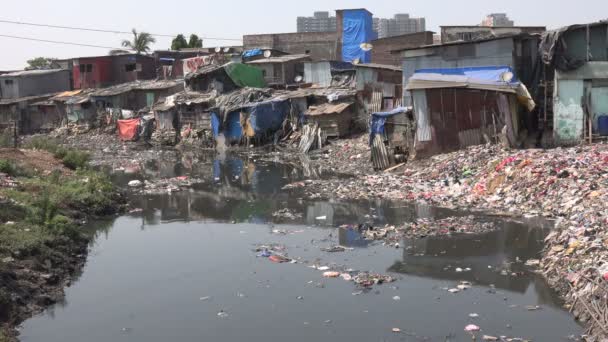 Verschmutztes Wasser und eine kleine Müllhalde — Stockvideo