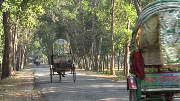 Cykel rickshaws och annan trafik — Stockvideo