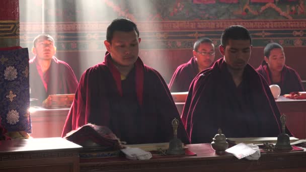 僧侣诵经咒语 — 图库视频影像