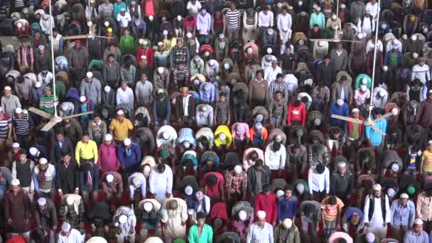 Muslim men attend Friday prayer — Stock Video