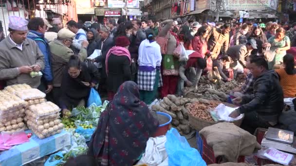 La gente hace comestibles en un mercado de agricultores — Vídeo de stock