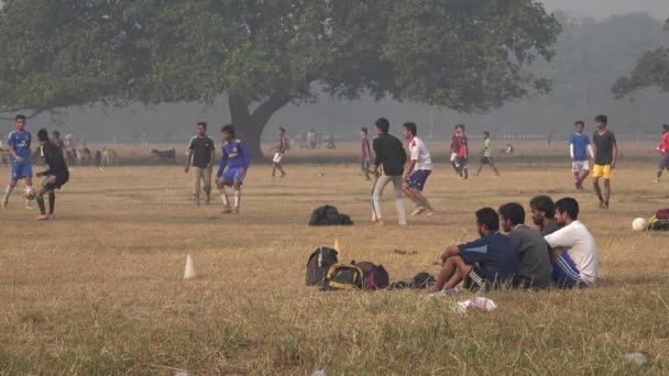 La gente juega fútbol en el parque central — Vídeo de stock