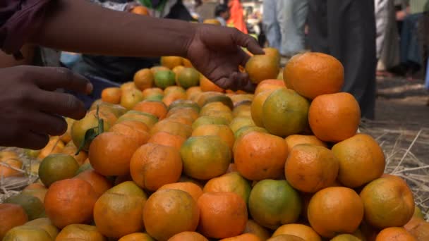 Апельсины на продажу на большом рынке — стоковое видео