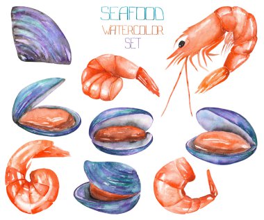 A set with the watercolor shrimps and mussels, seafood clipart