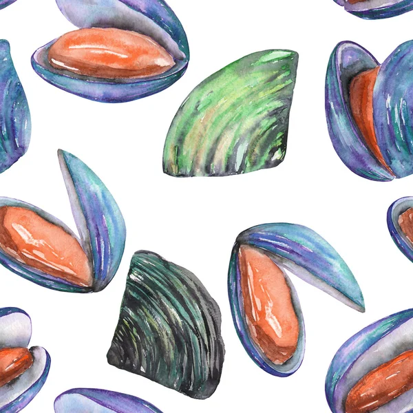 A pattern with the watercolor shells and mussels — 스톡 사진