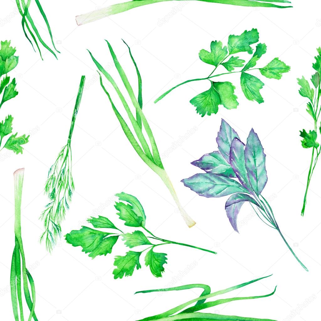 A seamless pattern with the watercolor spices: onion green, dill, parsley, cilantro and basil