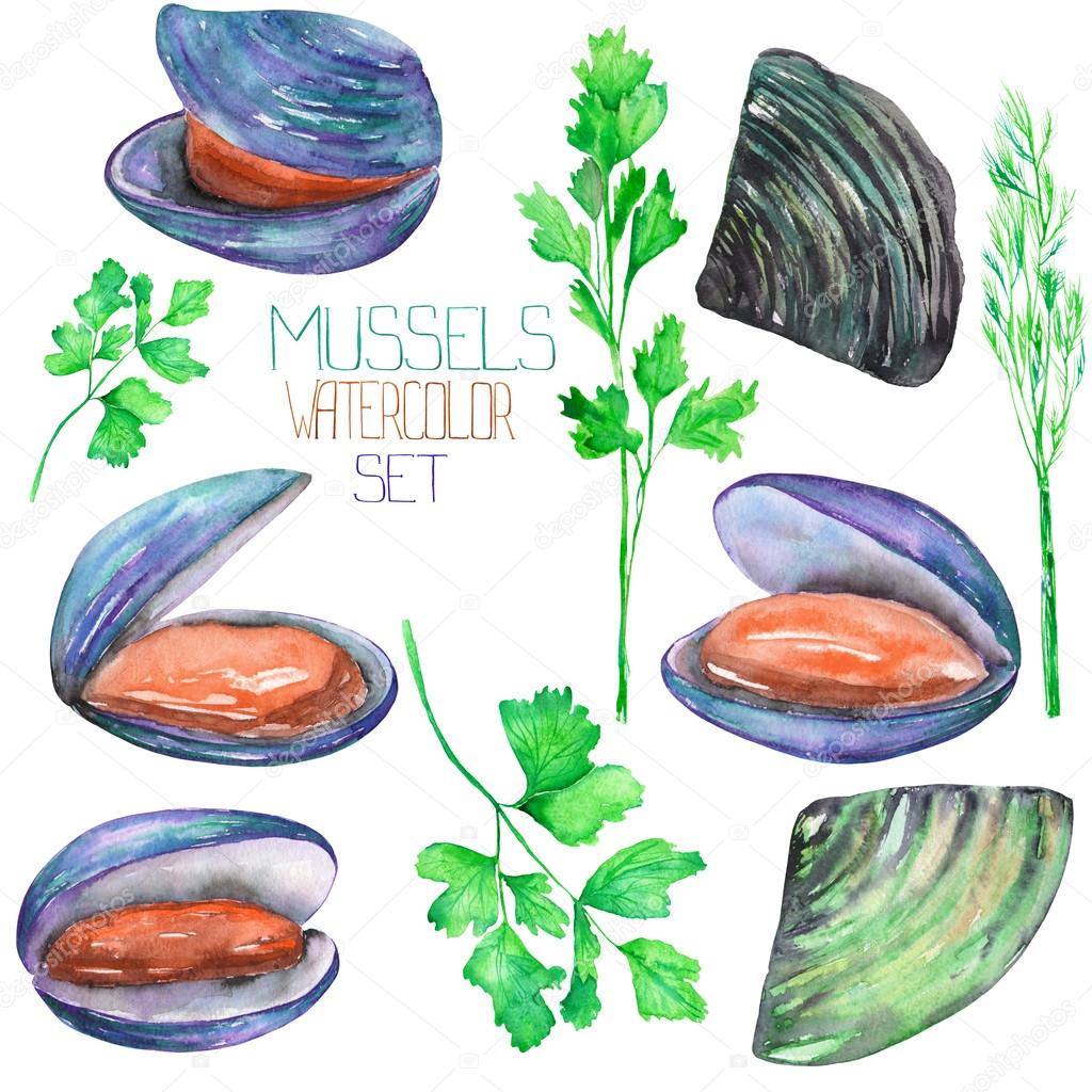 A set with the watercolor mussels and greenery, seafood