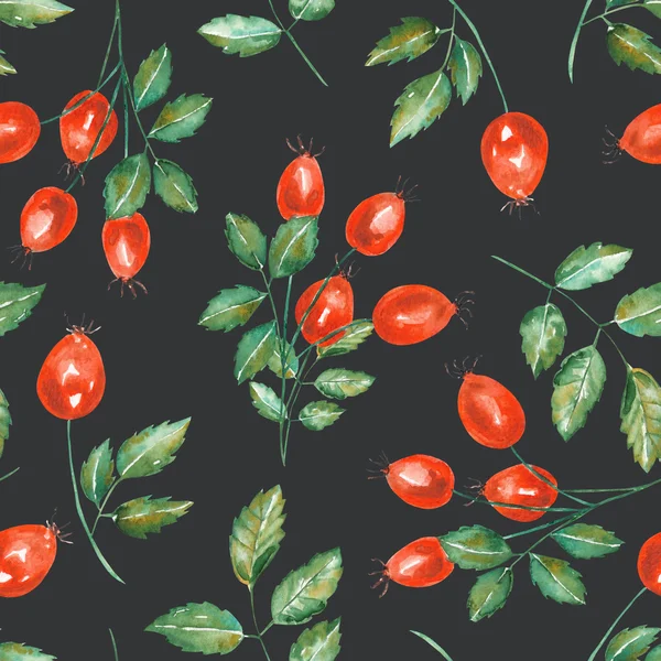 A seamless pattern with the watercolor rosehip branches — ストック写真