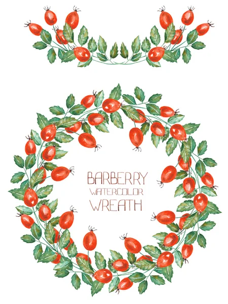 A circle frame, wreath and garland of the watercolor rosehip branches — 图库照片