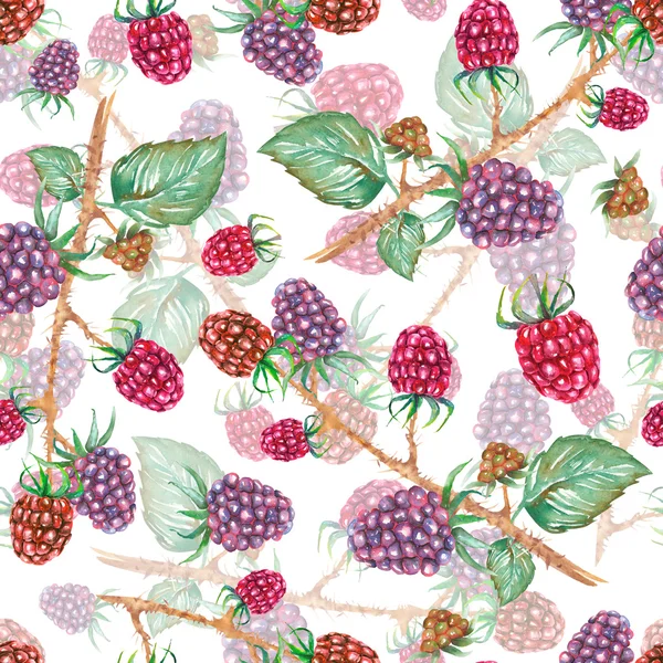 A seamless pattern with the watercolor blackberry branches — ストック写真