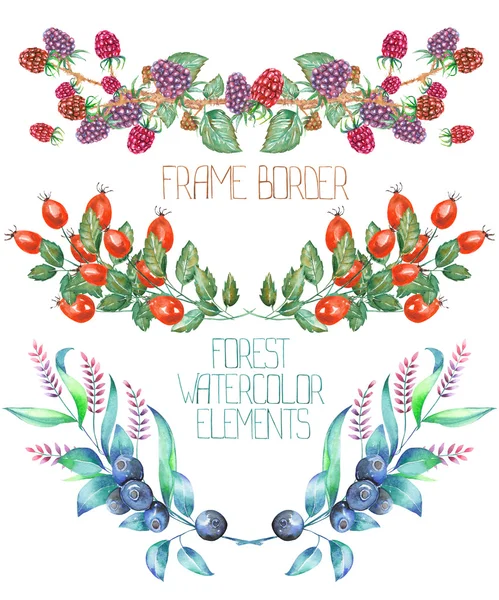 Ein Rahmen grenzt an ein florales Ornament der Aquarell-Waldelemente: Brombeeren, Berberitzen und Blaubeeren — Stockfoto