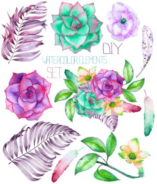 A set with the watercolor floral elements: succulents, flowers, leaves and feathers