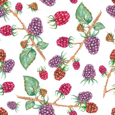 A seamless pattern with the watercolor blackberry branches