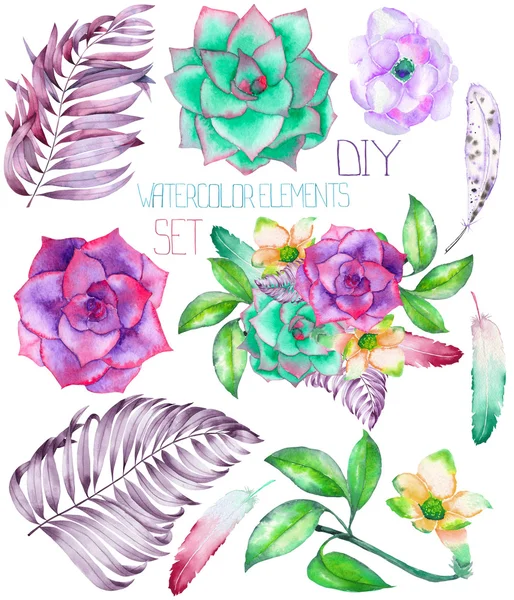A set with the watercolor floral elements: succulents, flowers, leaves and feathers — Stockfoto
