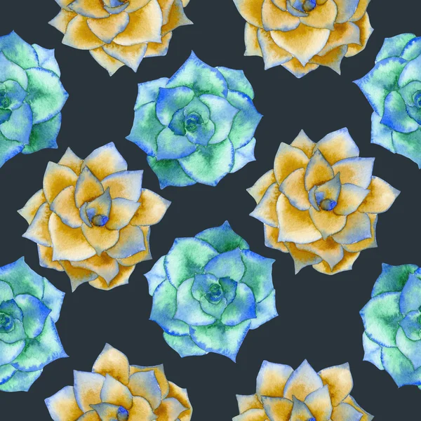 A seamless pattern with the watercolor blue and yellow succulents — Stockfoto