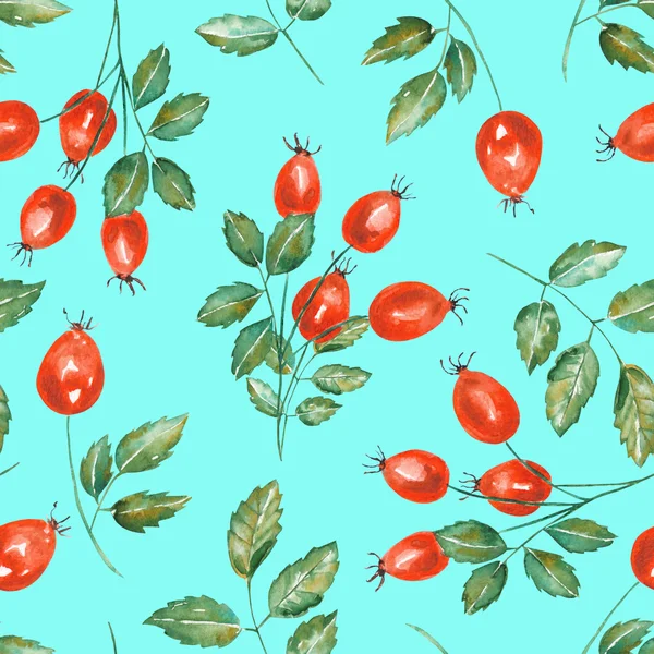 A seamless pattern with the watercolor rosehip branches — ストック写真