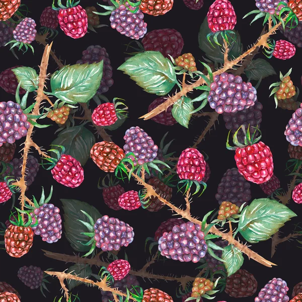 A seamless pattern with the watercolor blackberry branches — 图库照片