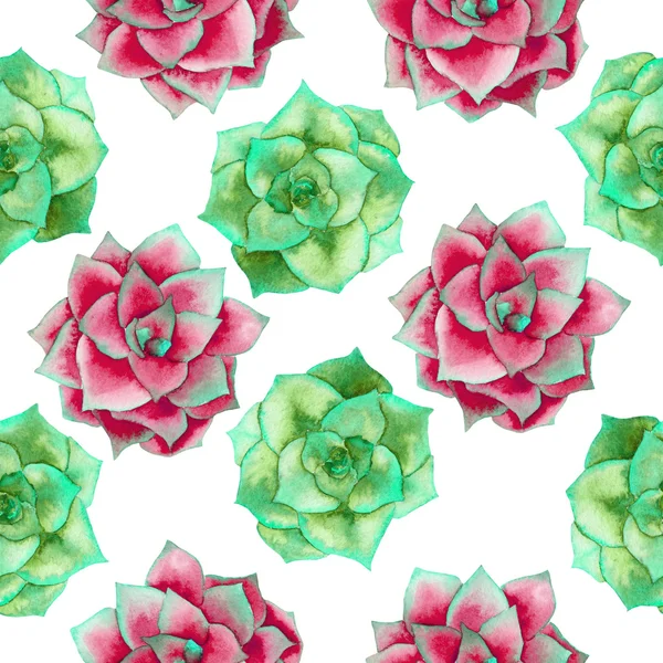 A seamless pattern with the watercolor red and green succulents — Stock Photo, Image