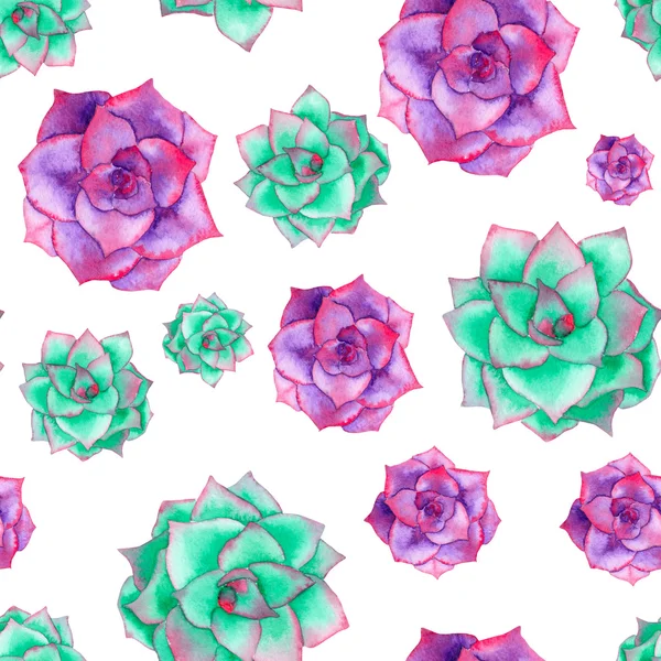 A seamless pattern with the watercolor various kinds of succulents — Stock Photo, Image