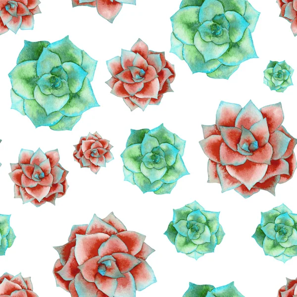 A seamless pattern with the watercolor red and green succulents — Stock Photo, Image