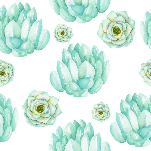 Um padrão sem costura com as suculentas de aguarela azul e hortelã — Fotografia de Stock
