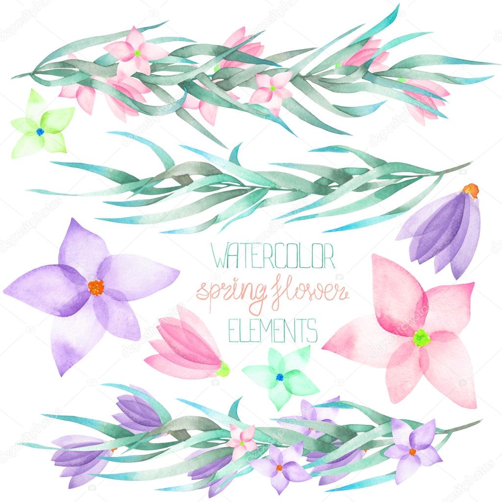 A set with the watercolor floral elements: branches, flowers, leaves