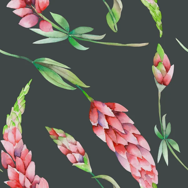 Naadloze patroon met de aquarel rode lupine bloemen — Stockfoto