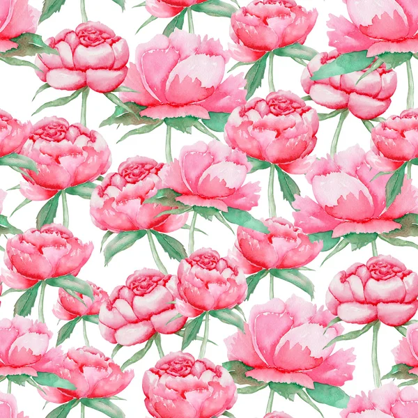 A seamless pattern with the watercolor red peonies — Stock Photo, Image