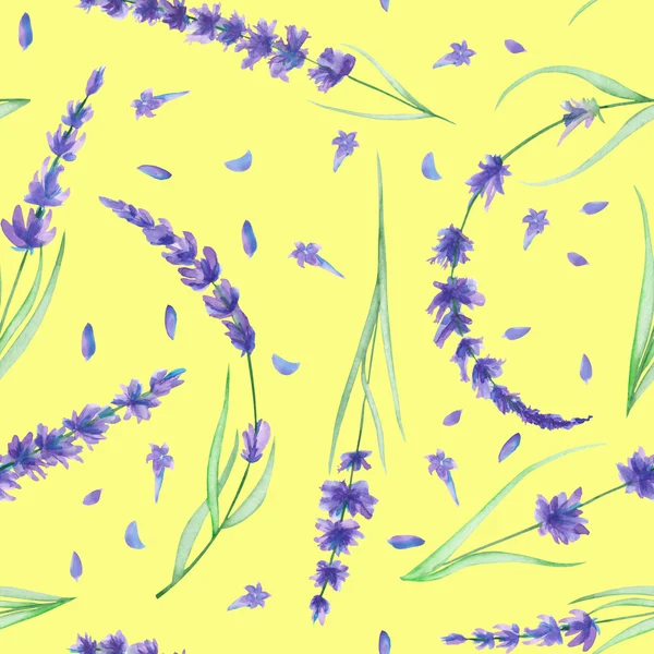 Modello senza soluzione di continuità con i fiori di lavanda acquerello — Foto Stock