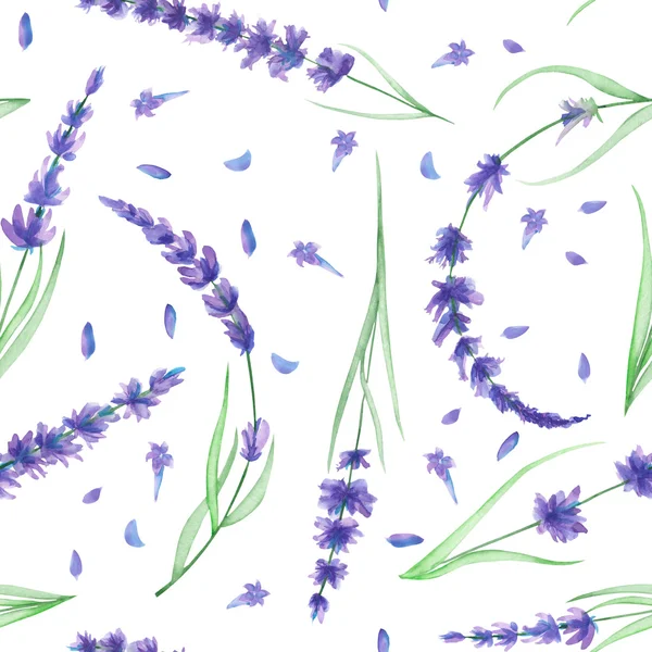 Seamless pattern with the watercolor lavender flowers — Zdjęcie stockowe