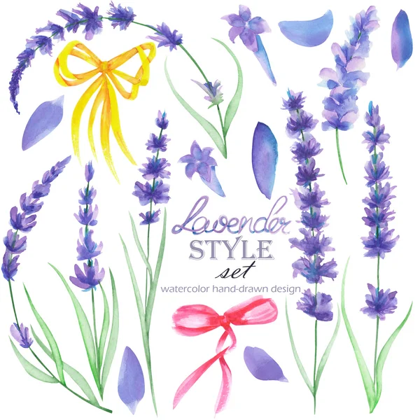 Conjunto de los elementos de acuarela lavanda y arcos para decoración —  Fotos de Stock