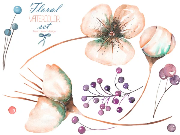 Ορίστε, συλλογή με την ακουαρέλα απομονωμένες abstarct ροζ λουλούδι στοιχεία και μούρα — Φωτογραφία Αρχείου