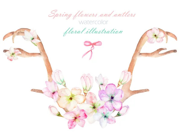 A floral watercolor illustration with the antlers, entwined spring flowers — Stock Photo, Image