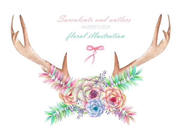 En blommig akvarell illustration med horn, sammanflätade suckulenter, blommor, löv och grenar, för dekoration — Stockfoto