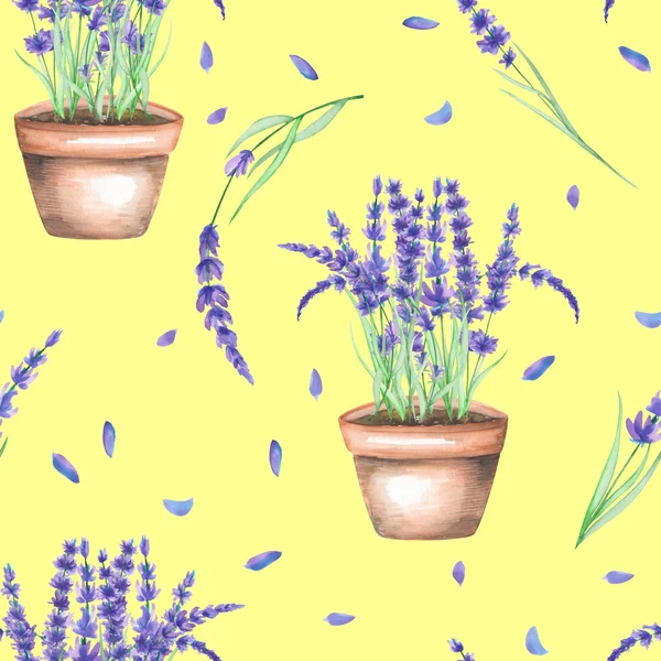 A seamless pattern with the watercolor lavender flowers in a pot — Stock Fotó