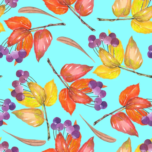 A seamless pattern with a floral ornament of the watercolor red and yellow autumn leaves and purple berries on the branches,viburnum tree — Stock Photo, Image