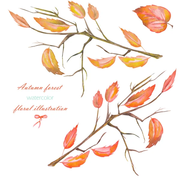 En uppsättning, blommig illustration med isolerade akvarell röda hösten blad på grenarna — Stockfoto