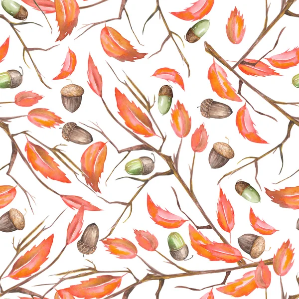 Un patrón sin costuras con un adorno floral de las bellotas de roble de bosque acuarela y hojas rojas de otoño en las ramas —  Fotos de Stock