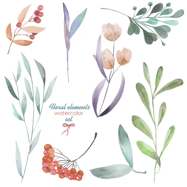 Ein florales Set mit vereinzelten Aquarellzweigen und Beeren — Stockfoto