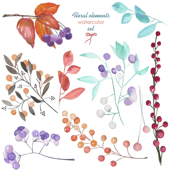 Цветочный набор с изолированными ветвями акварели и ягодами — стоковое фото