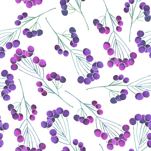 Un patrón sin costuras con un adorno floral de otoño de la acuarela violeta y morado bayas en las ramas —  Fotos de Stock