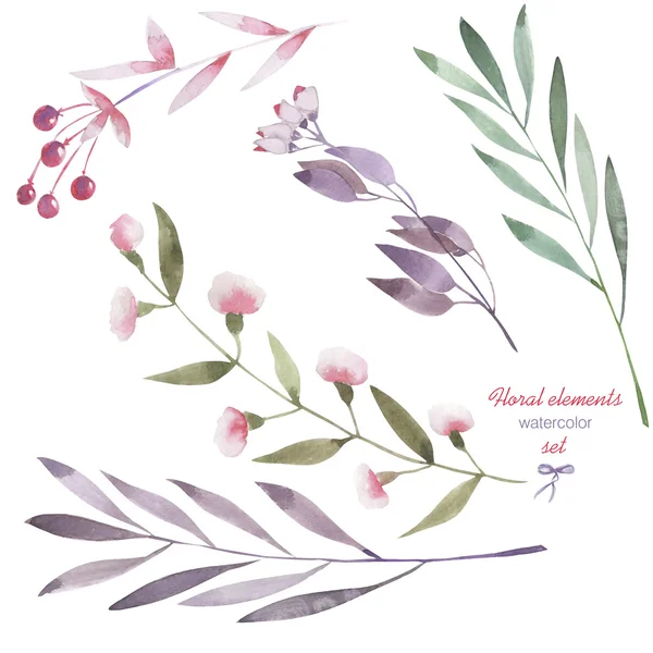 Ein florales Set mit vereinzelten Aquarellzweigen, Blumen und Beeren — Stockfoto
