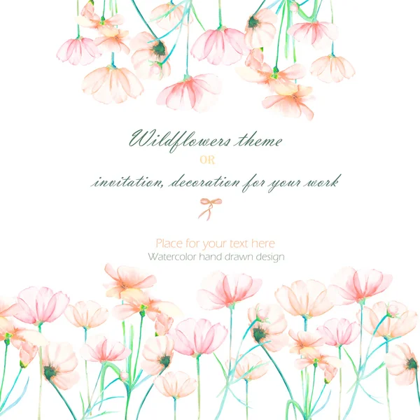 Fondo, tarjeta de invitación, plantilla postal con las flores rosadas tiernas del cosmos, mano dibujada sobre un fondo blanco — Foto de Stock