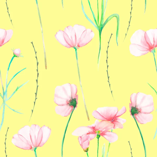 Sulu Boya çizilmiş ihale pembe cosmos çiçekler ile sorunsuz bir çiçek desenli — Stok fotoğraf