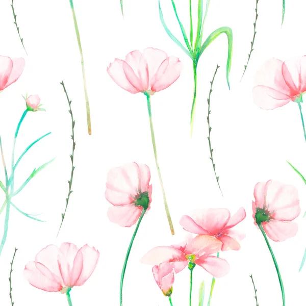 无缝花纹与水彩手绘嫩粉色波斯菊花海 — 图库照片