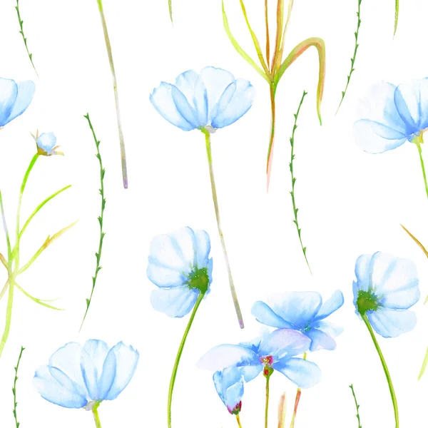 Sulu Boya çizilmiş ihale mavi cosmos çiçekler ile sorunsuz bir çiçek desenli — Stok fotoğraf