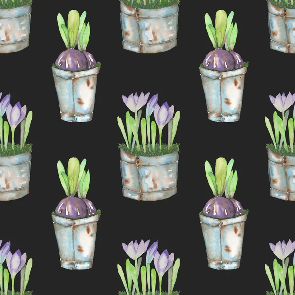 Padrão sem costura das flores de croco aquarela em um baldes enferrujados — Fotografia de Stock