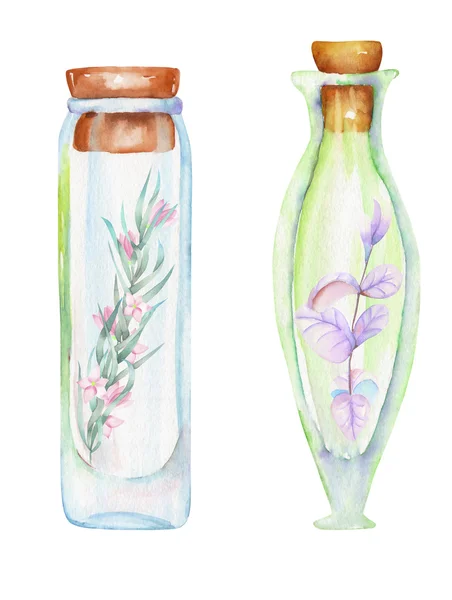 Illustration romantiska och sagolik akvarell flaskor med skogs grenar med löv och blommor inuti — Stockfoto