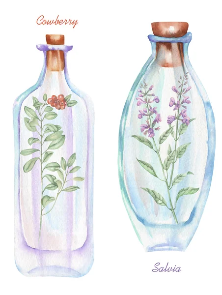 Illustration romantische und märchenhafte Aquarellflaschen mit Salvia-Blüten und Preiselbeerzweig im Inneren — Stockfoto