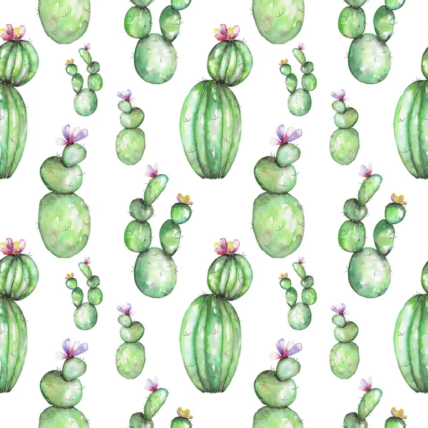 Pola mulus dengan cat air berbagai jenis kaktus — Stok Foto